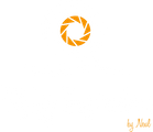 Flying Impressions Logo