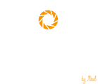 Flying Impressions Logo