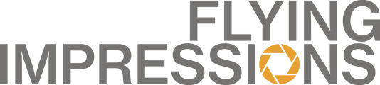 Flying Impressions Logo